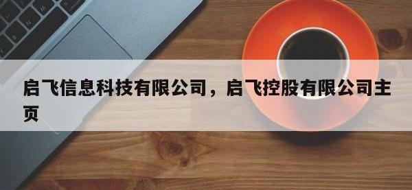 启飞信息科技有限公司，启飞控股有限公司主页